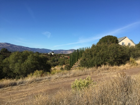 Large new house nextdoor to NE 03.JPG